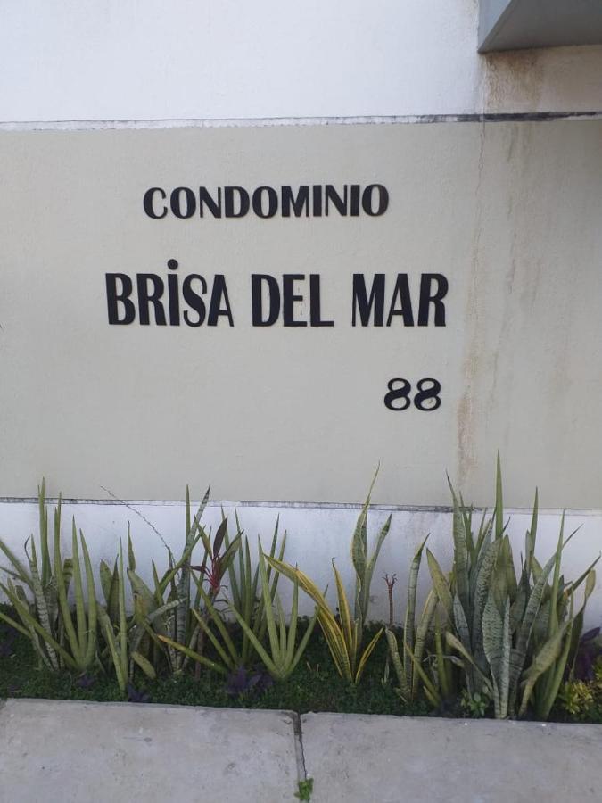 Apartamentos Brisa Del Mar ルイース・コヘイア エクステリア 写真